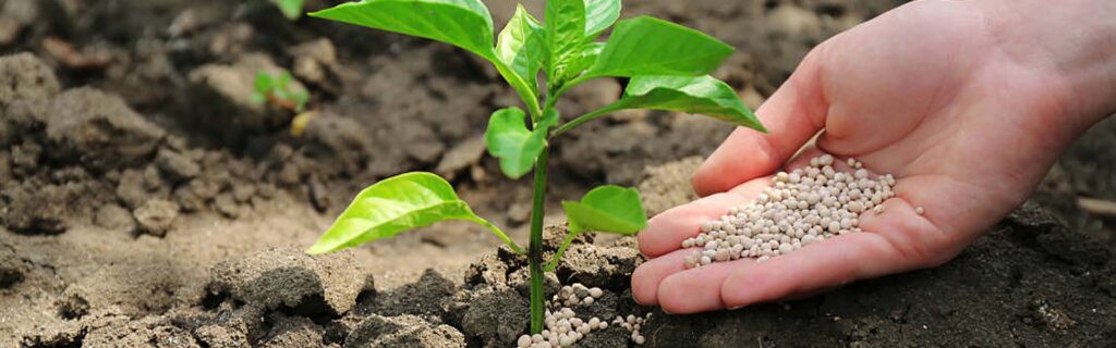 Fórmula Personalizada de Fertilización