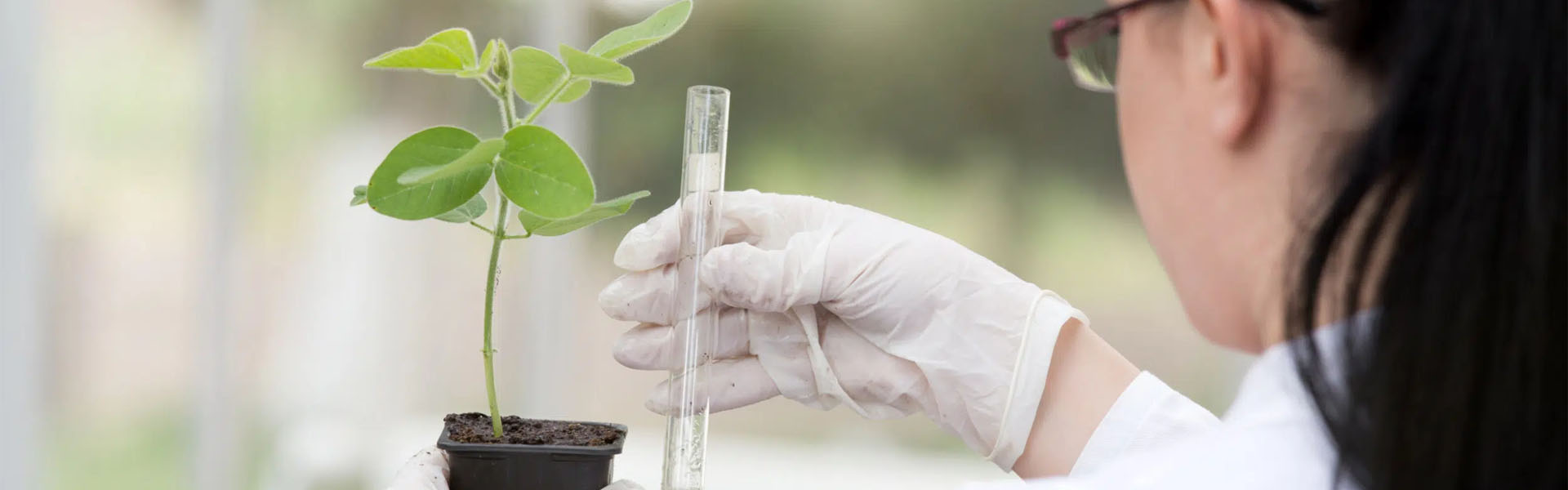 investigación y desarrollo en la agricultura