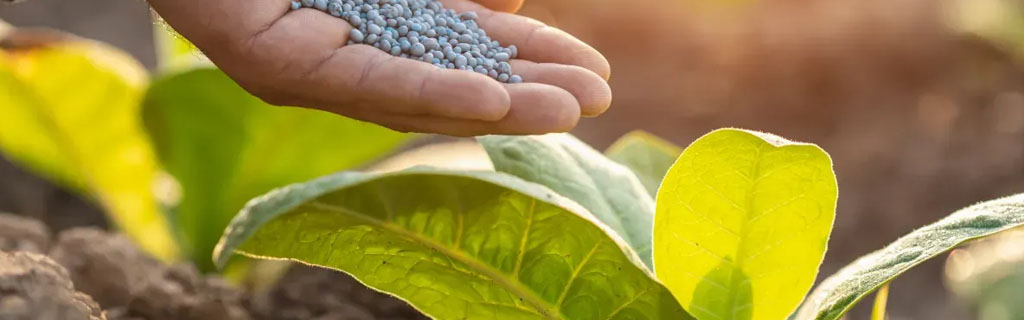 fertilizantes a la medida para campo